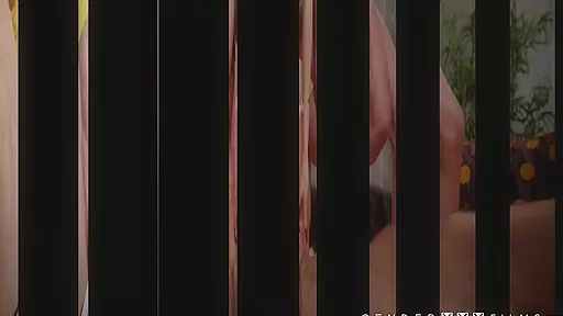 Insane shemale shemale male bareback threeway