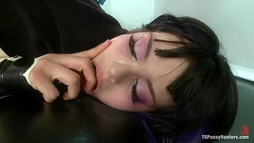 Anime: Fucking in a Virtual World w/Transsexual Kitty Doll & Her Pet