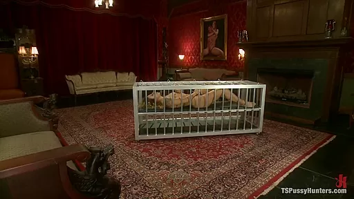 Caged Girl Caged Cock TS Joanna Unleashes her Cock on an Amateur Girl