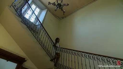 Huge Thick Transsexual Cock and A Very Hot Willing Slave Girl