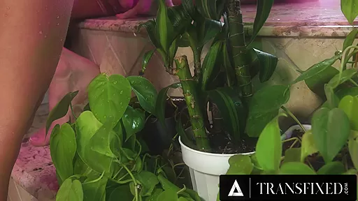 TRANSFIXED - Jade Venus Makes Cis Lesbian Christy Love SQUIRT Everywhere With Her Trans Cock!