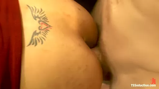 Porn Auditions Breaking in the new guy