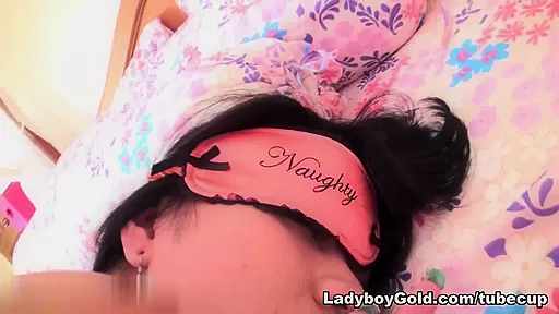 LadyboyGold Clip: See Through Sex Bareback