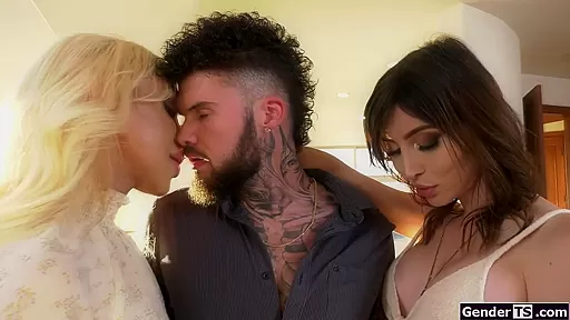 Big tit shemales reward a guy with blowjob and bareback anal
