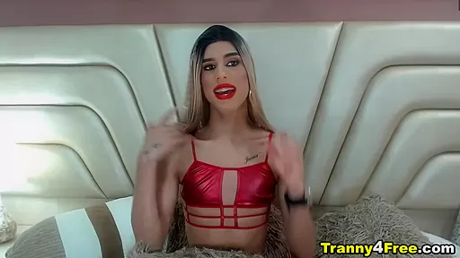 Seductive Ladyboy Strokes Her Long Erect Cock
