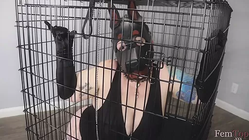 Femtop Sessions Pup Girl Bound Flogged - Roxxie Moth