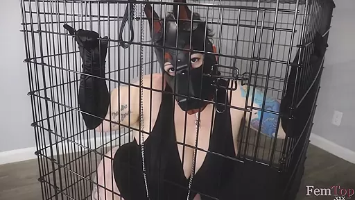Femtop Sessions Pup Girl Bound Flogged - Roxxie Moth
