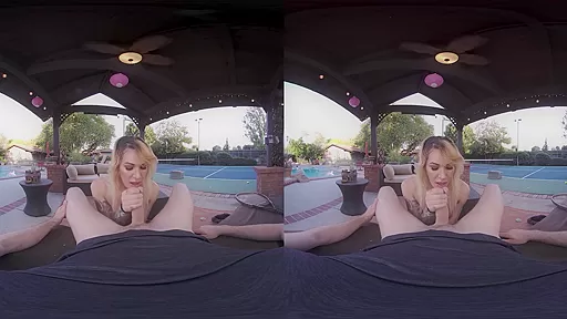 Ryder Monroe in Private Lesson Shemale VR Porn Video - VRBTrans