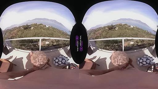 All included - VirtualRealTrans