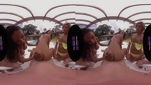 Spring breakers - VirtualRealTrans