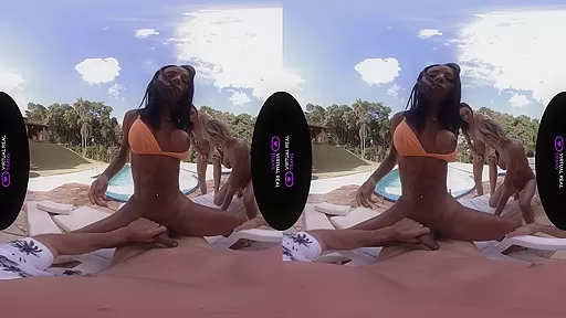 Spring breakers - VirtualRealTrans