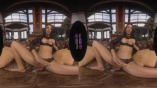 Fedsex - VirtualRealTrans