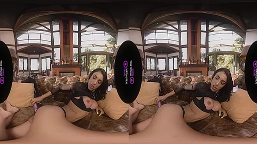 Fedsex - VirtualRealTrans