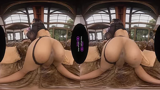 Fedsex - VirtualRealTrans