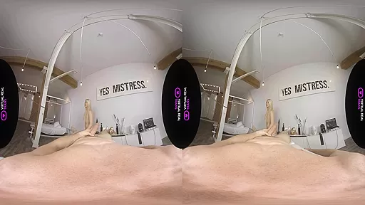 Exclusive Celebration - VirtualRealTrans