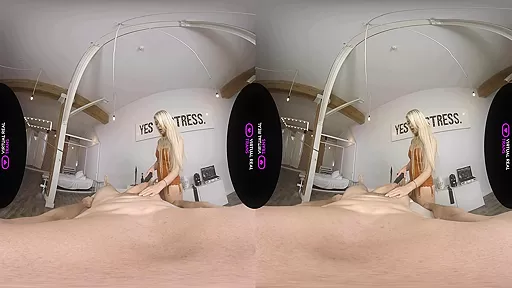 Exclusive Celebration - VirtualRealTrans