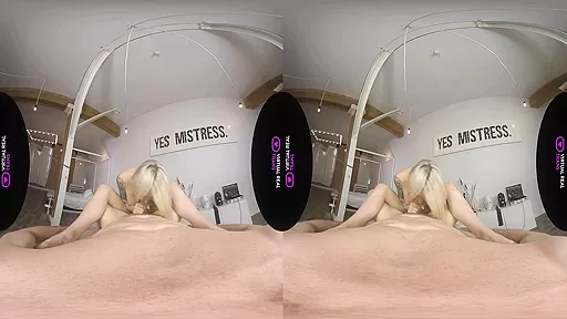Exclusive Celebration - VirtualRealTrans