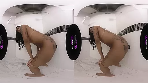 Shared Shower - VirtualRealTrans