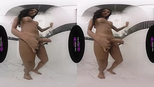 Shared Shower - VirtualRealTrans