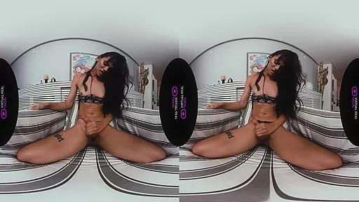 Unboxing - VirtualRealTrans