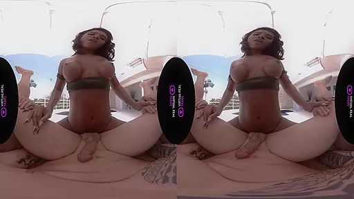 Playing With You - VirtualRealTrans