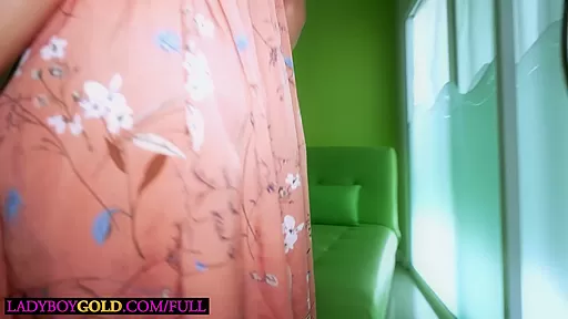 Tiny Asian ladyboy teen 18+ Lee POV blowjob and incredible anal fucking