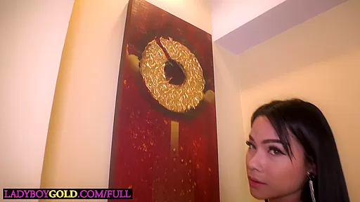 Big boobs ladyboy teen 18+ Tata does it all for him and he enjoyed her holes