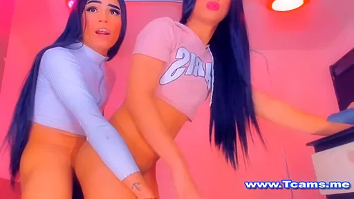 Two Sexy Shemale Fucking And Blowjobbing