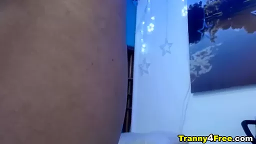 Erotic Dancing Shemale Nice Ass