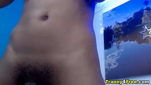 Erotic Dancing Shemale Nice Ass