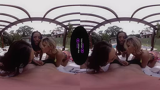 Bronze,Hanna Rios,Paty Cameron in Spring Breakers - SexLikeReal Shemale