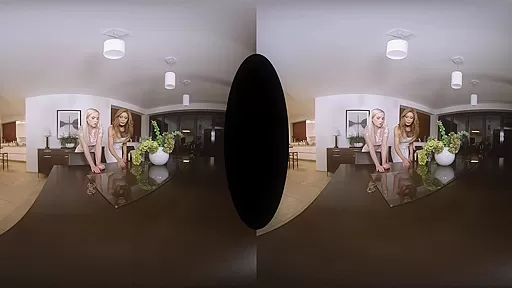 Vinna Reed,Vanessa Jhons in Hot Housekeeping - SexLikeReal Shemale