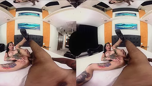 Gaby Ink in Gaby Ink When Gaby Met Andre - SexLikeReal Shemale