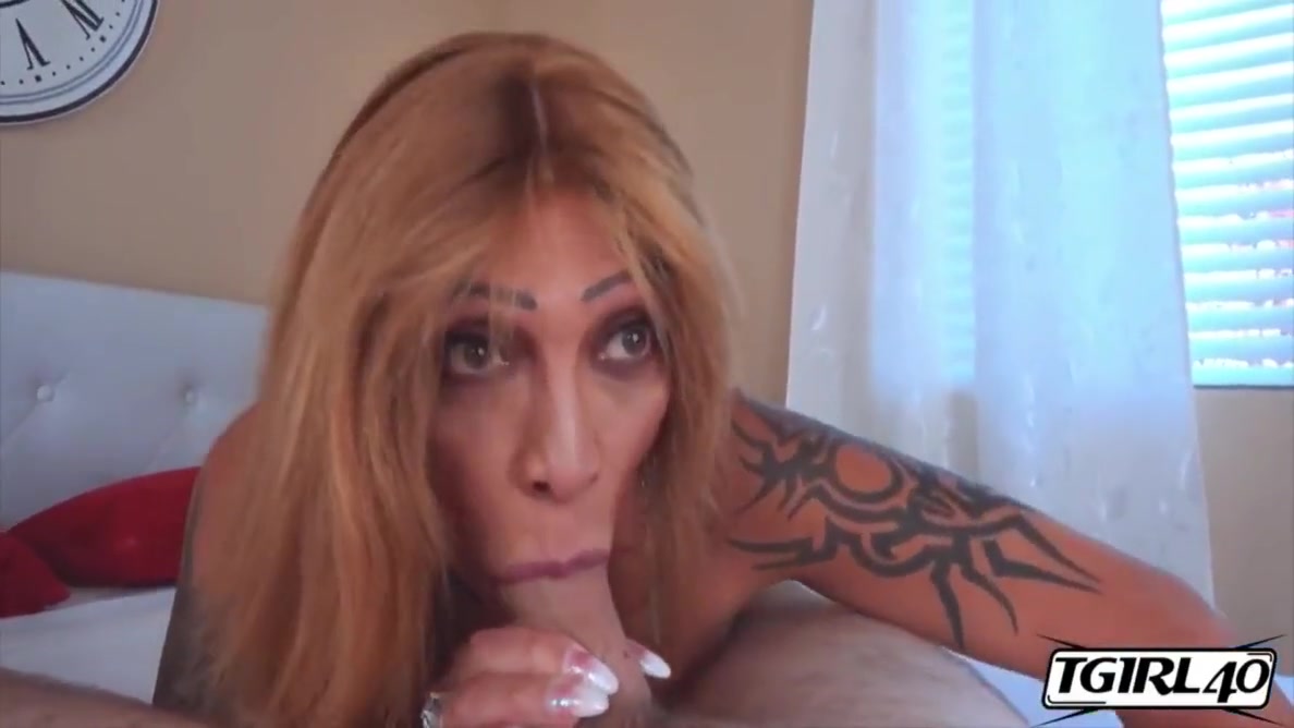 Tranny Mix Compilation Music Video