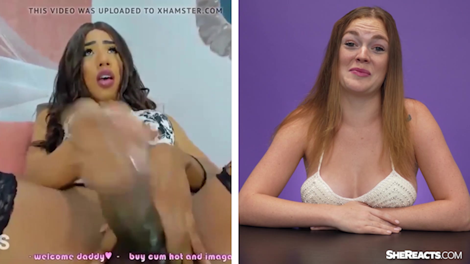 Do they Like Transgender? Big Cock Edition