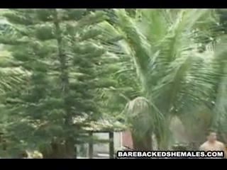 Naughty Big tits Shemale Do Awesome Barebacked