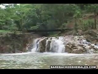 Wild And Sexy Hardcore Darling Shemale do Barebacked