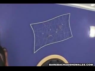 Pretty Hot Tranny Bareback Sex