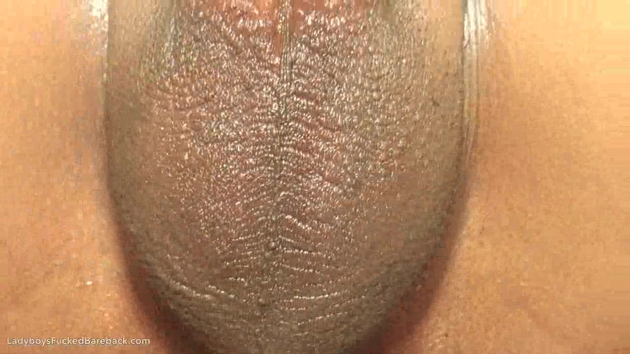Ladyboy Kim Sperm Dripping Fuckhole