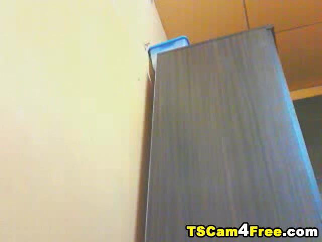 Shemale Jerks Off And Sucks Her Own Huge Cock