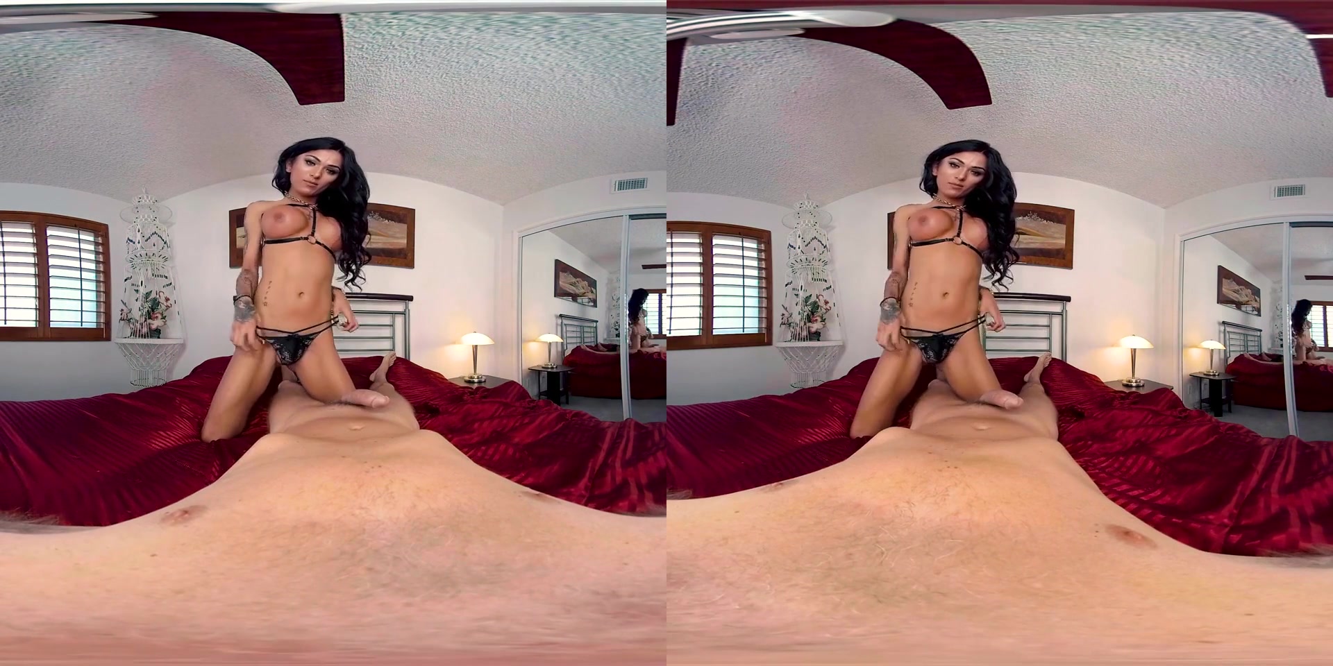 Mia Maffia in Dangerous Maffia Shemale VR Porn Video - VRBTrans