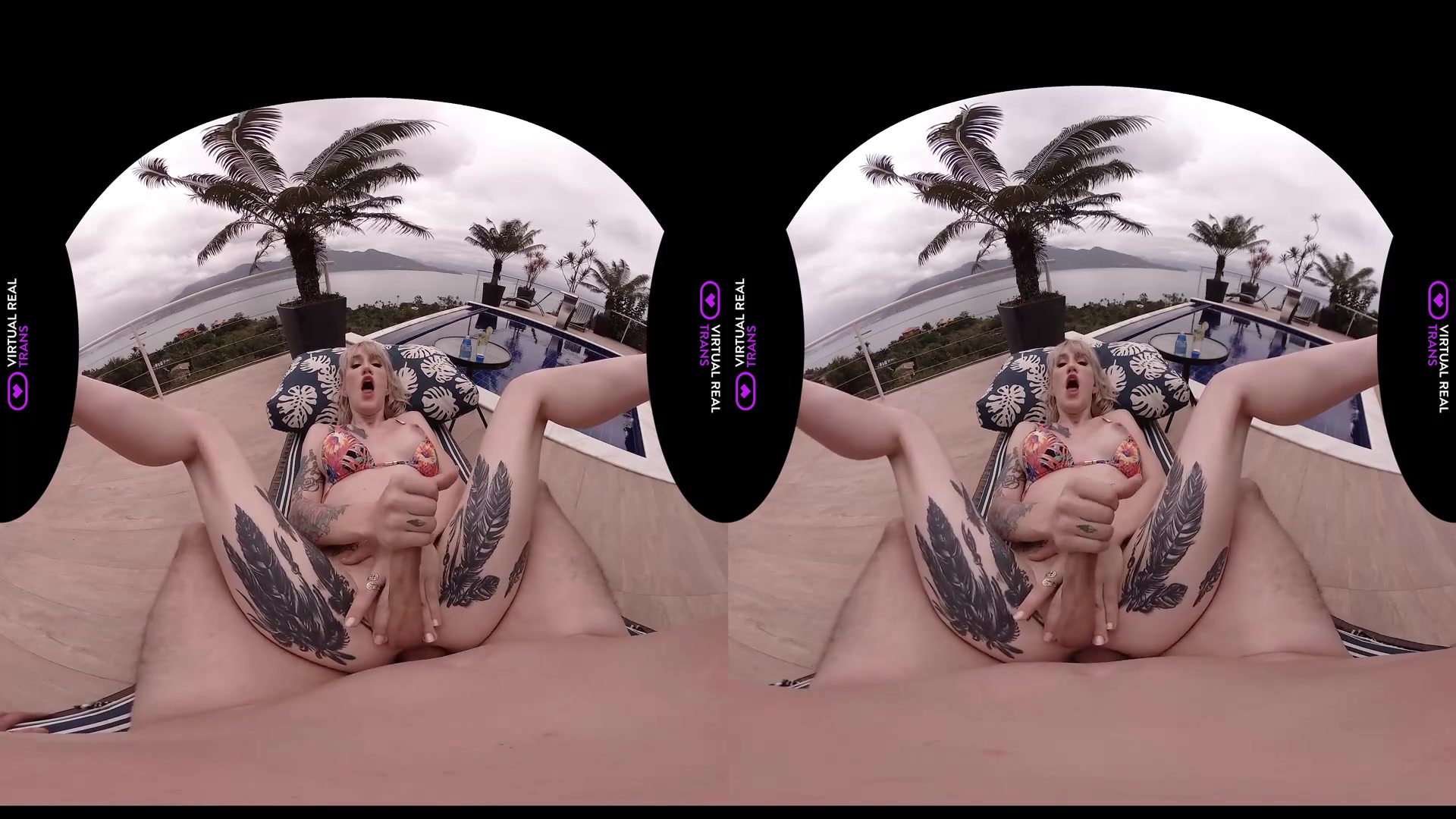 Sunset at the beach - VirtualRealTrans