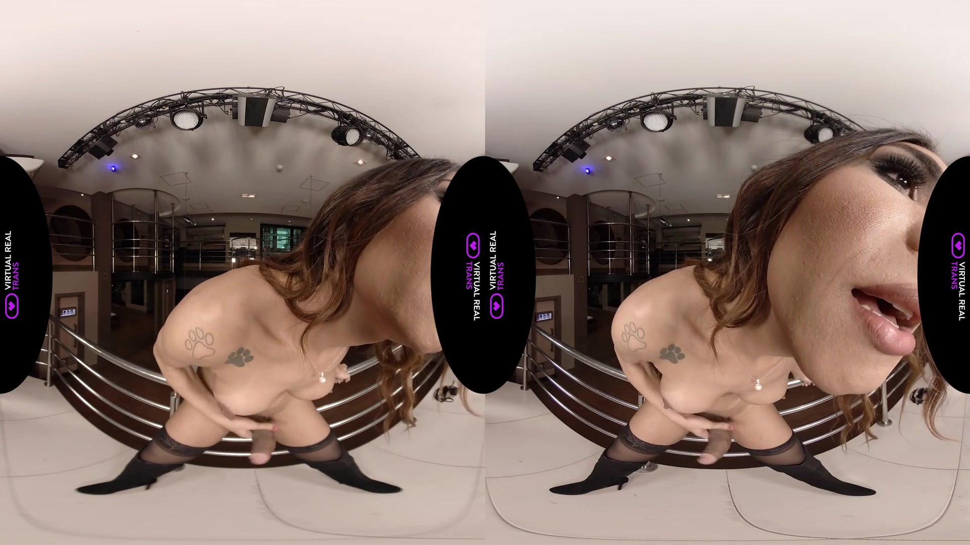 Aphrodisiac movements - VirtualRealTrans