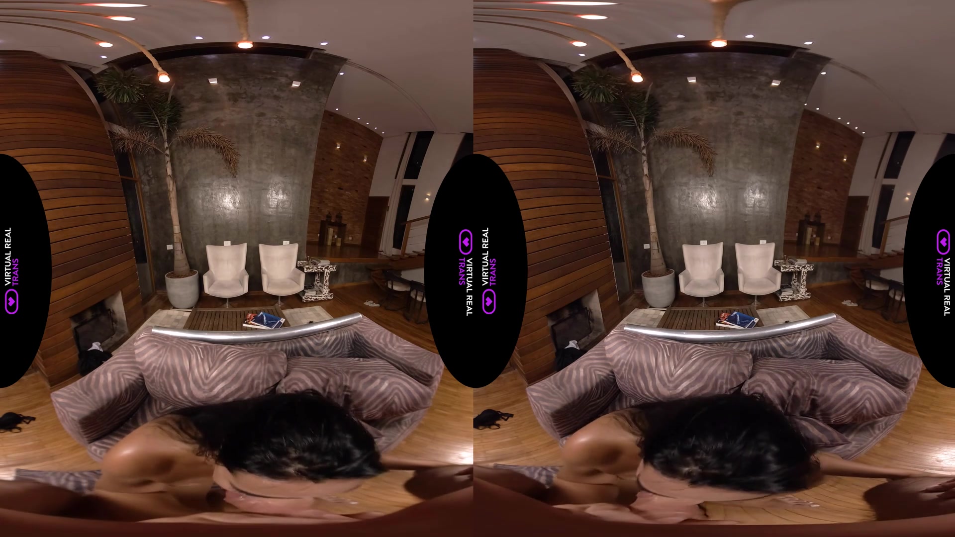 Skipping class - VirtualRealTrans