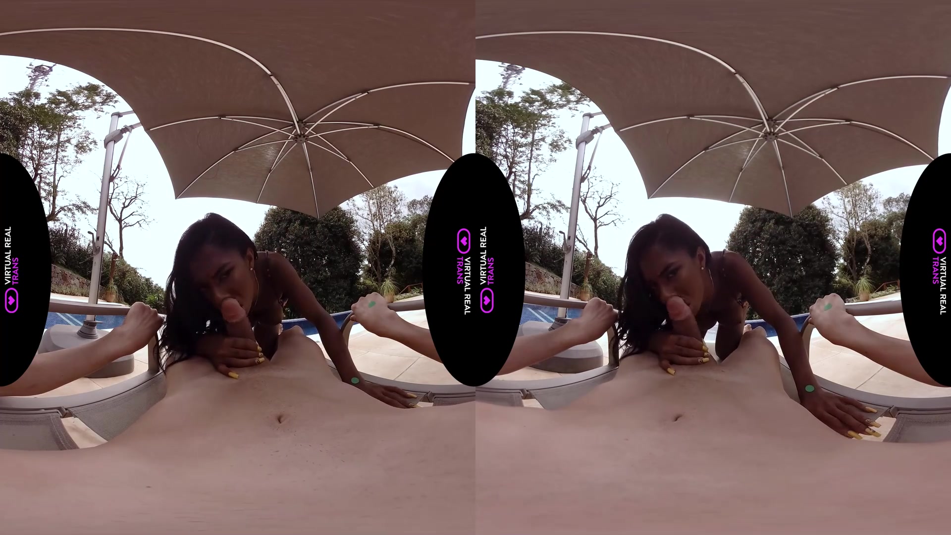 Singles Party - VirtualRealTrans