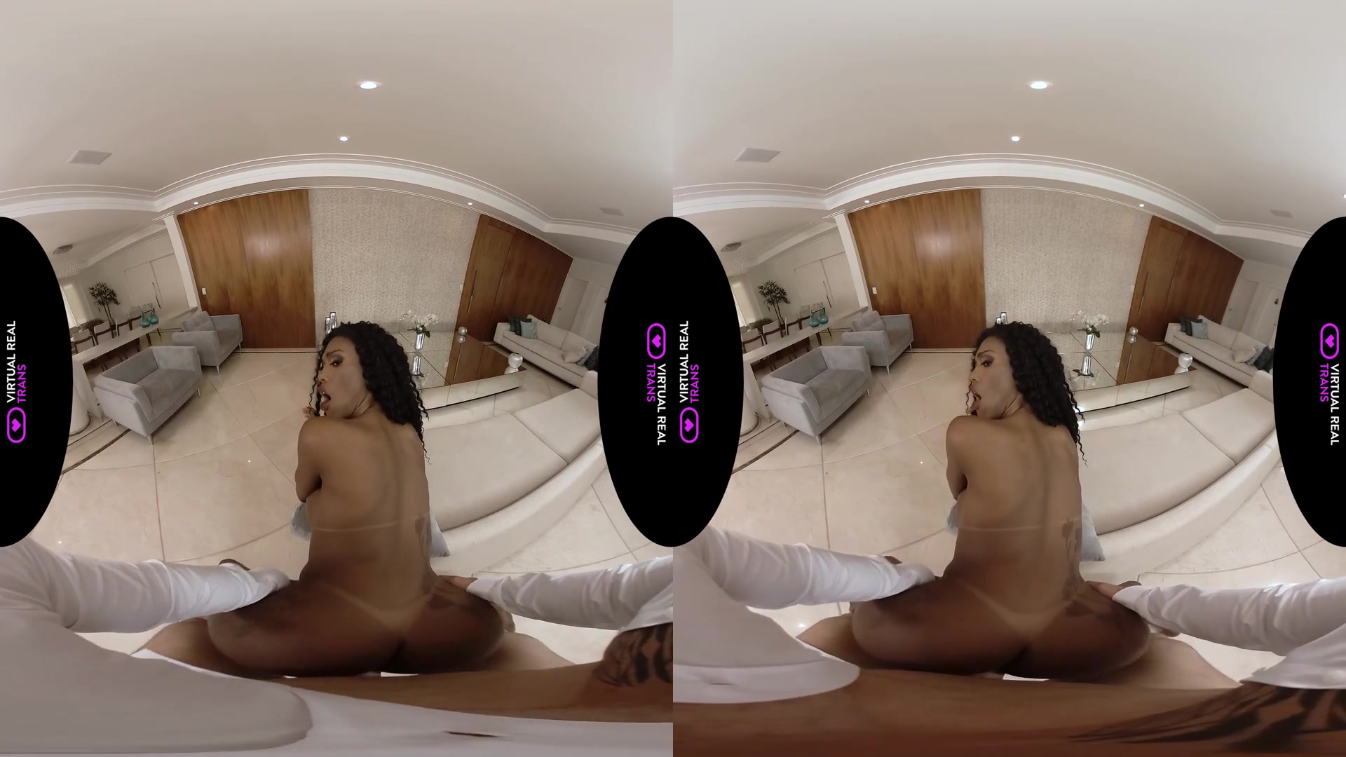 Sexy rabbit - VirtualRealTrans