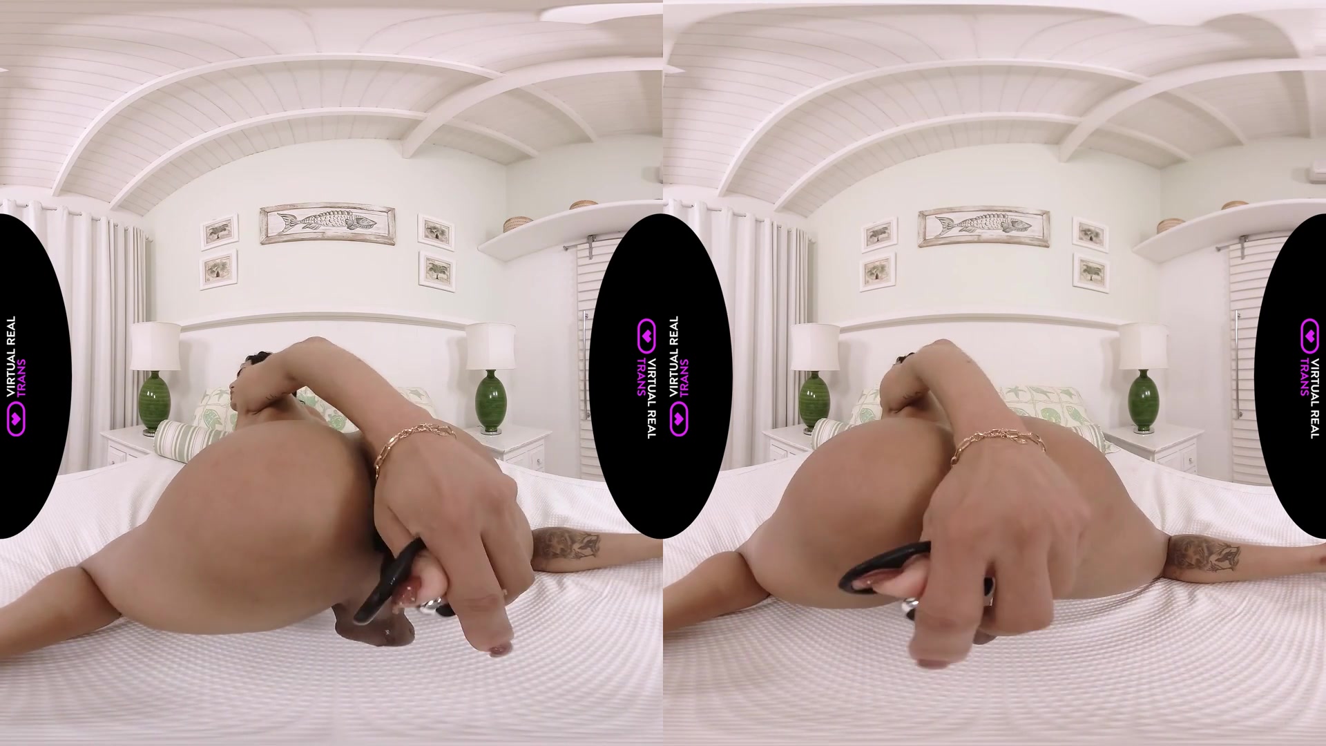 My Favorite Cock - VirtualRealTrans