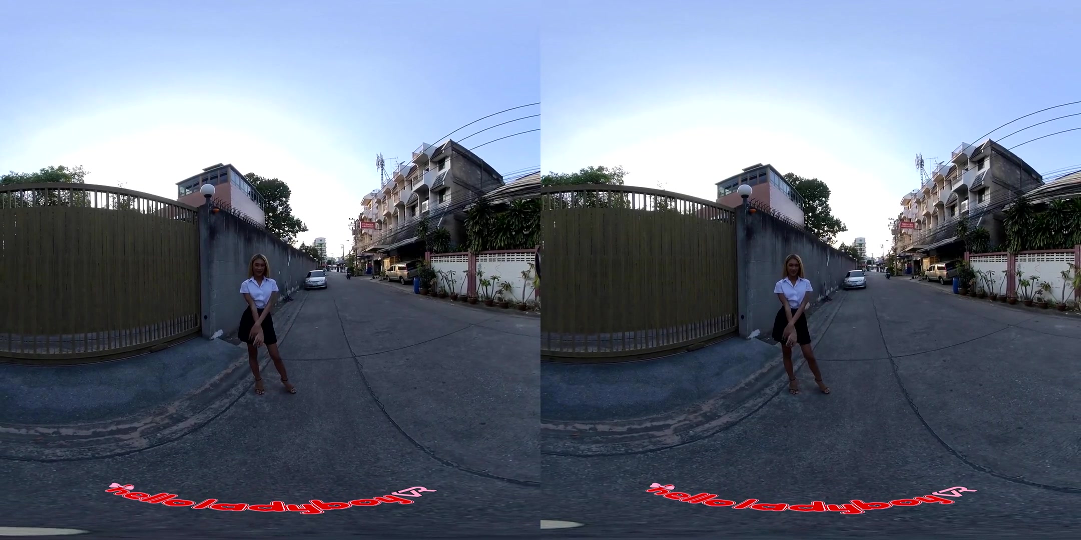 Coco in Accidental meeting with Coco on the street - SexLikeReal Shemale