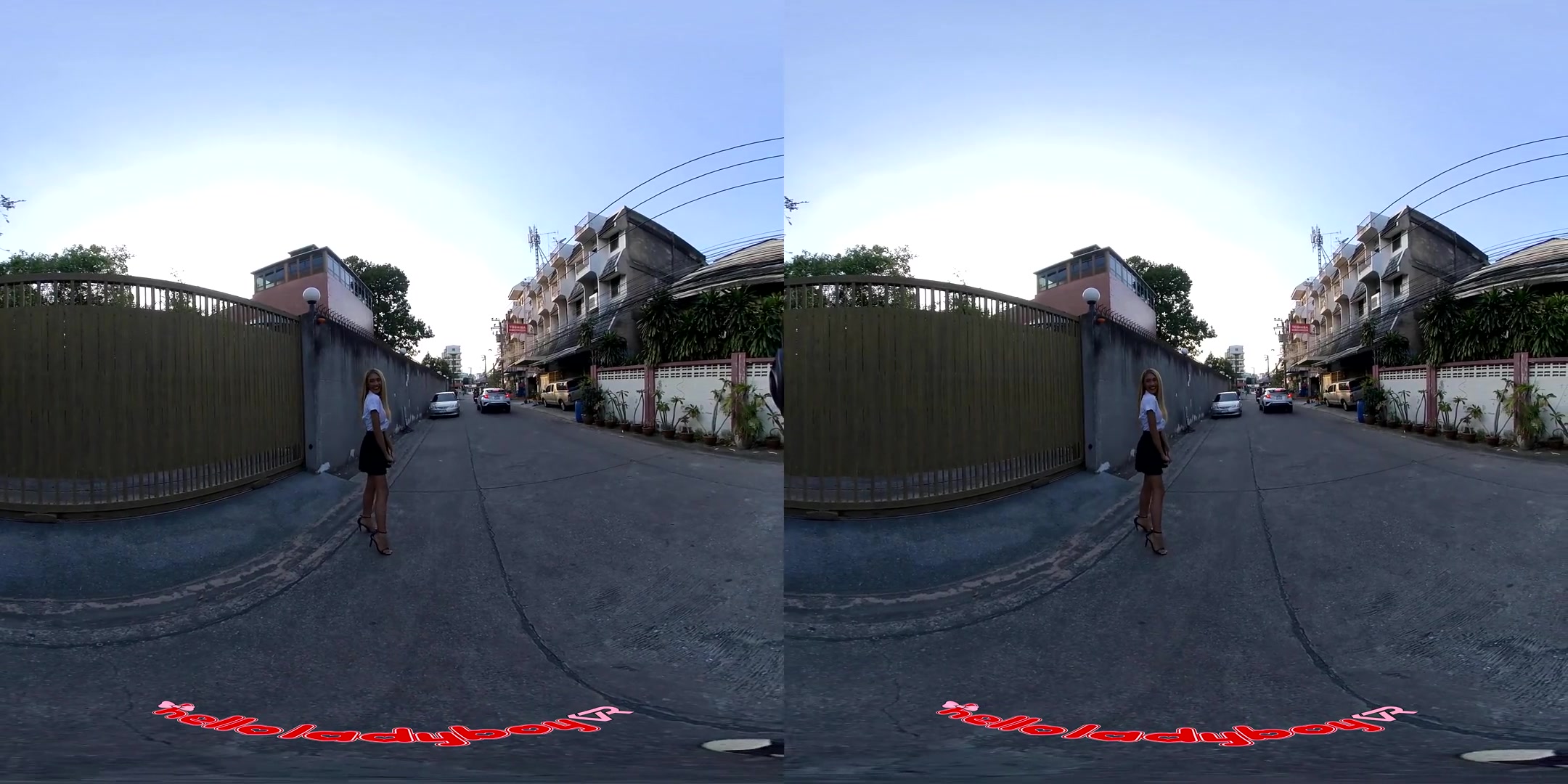 Coco in Accidental meeting with Coco on the street - SexLikeReal Shemale
